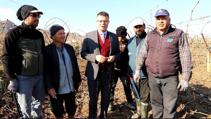 Başkan Öküzcüoğlu bağ budaması yapan çiftçileri yalnız bırakmadı