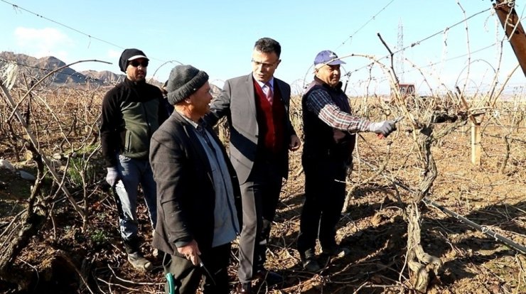Başkan Öküzcüoğlu bağ budaması yapan çiftçileri yalnız bırakmadı