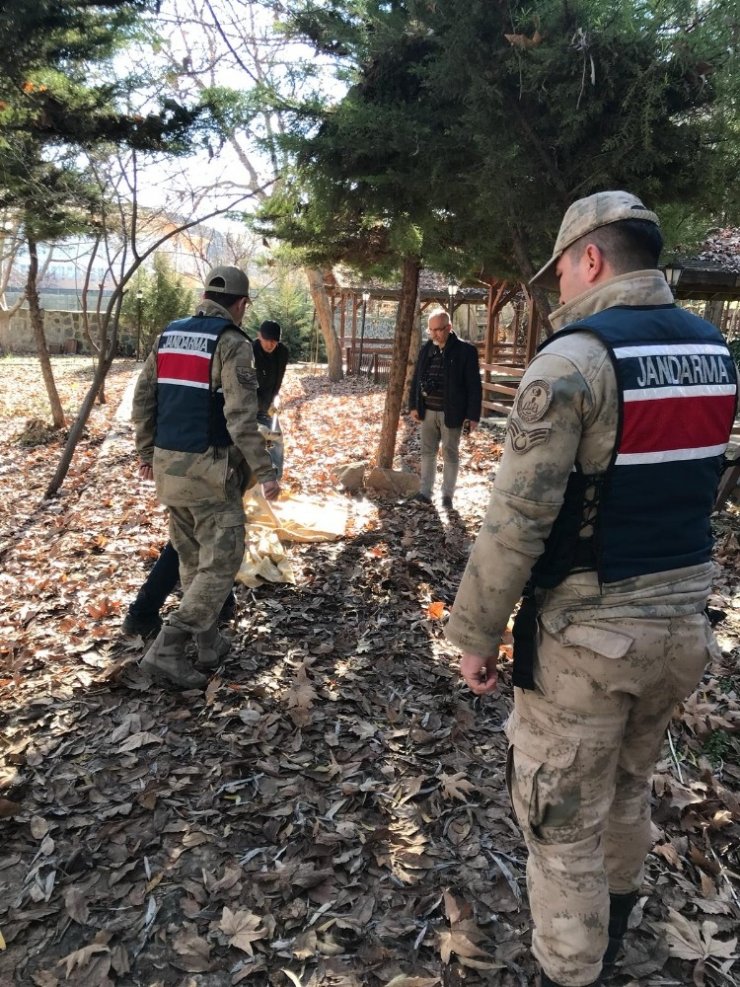 Yaralı köpeğe jandarma sahip çıktı