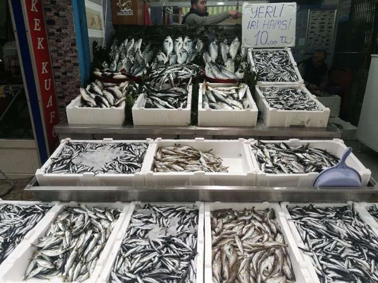 Karadeniz hamsisi 10 liradan tezgahlarda