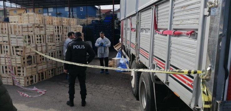 Geri manevra yapan kamyonun ezdiği kadın hayatını kaybetti