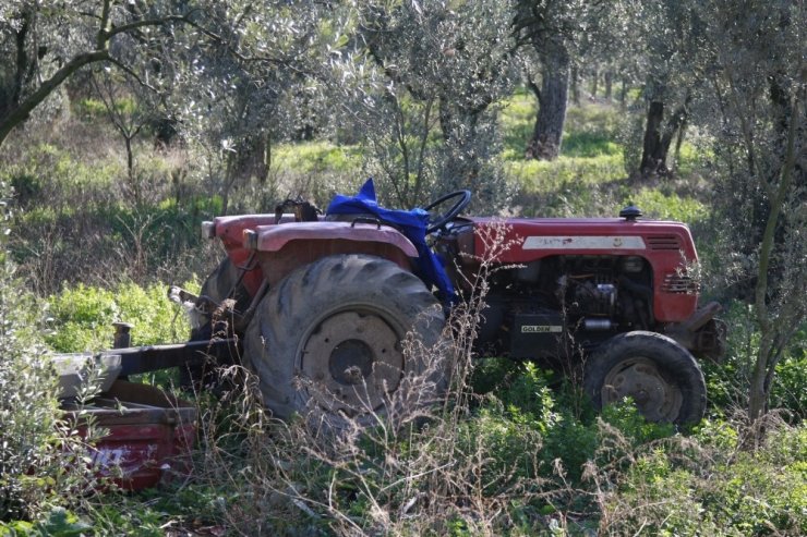 Hayata 29 gün tutunabildi