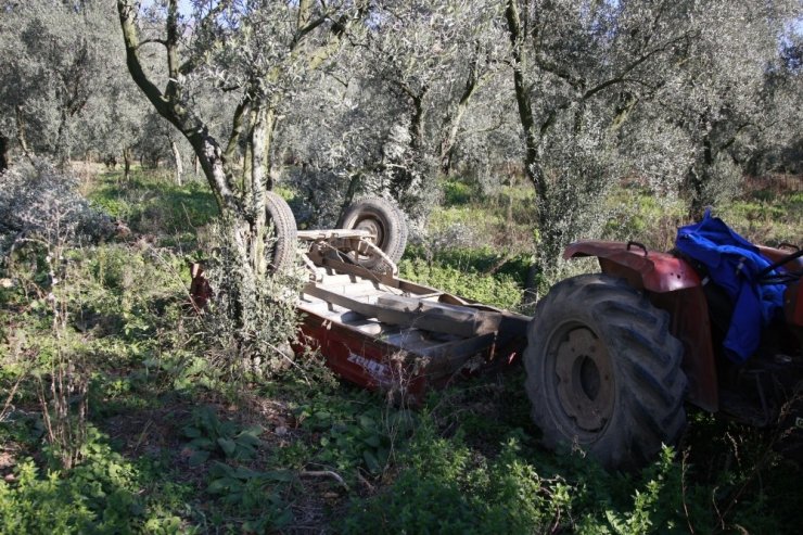 Hayata 29 gün tutunabildi