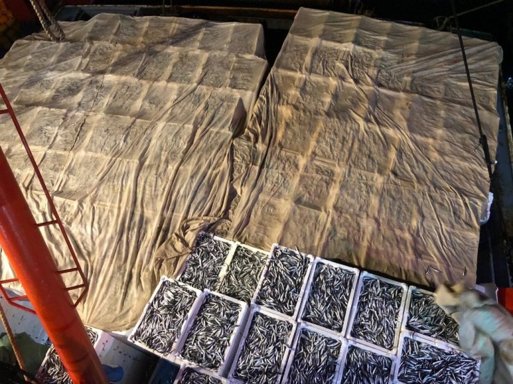 Yerli hamsi uzun bir aradan sonra tezgahlarda