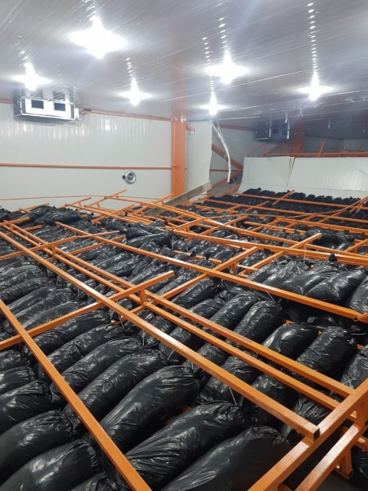 Tarsus’ta mantar üretme tesislerinde çelik raflar işçilerin üzerine devrildi: 1 kişi öldü, 3 kişi yaralandı