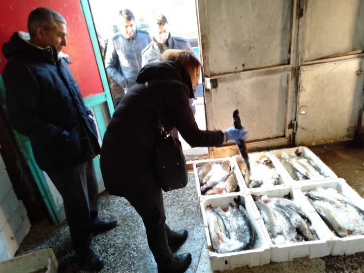 Altındağ'da balık depoları denetlendi