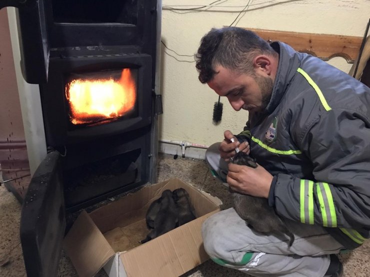 4 yavru köpeği çuvala koyup çöpe attılar