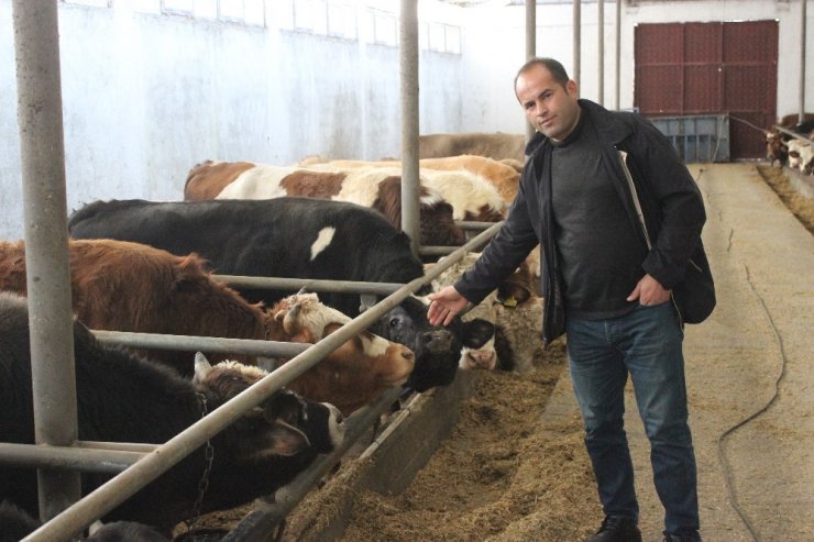 Hayvansal atıklardan ‘biyogaz’ üretti