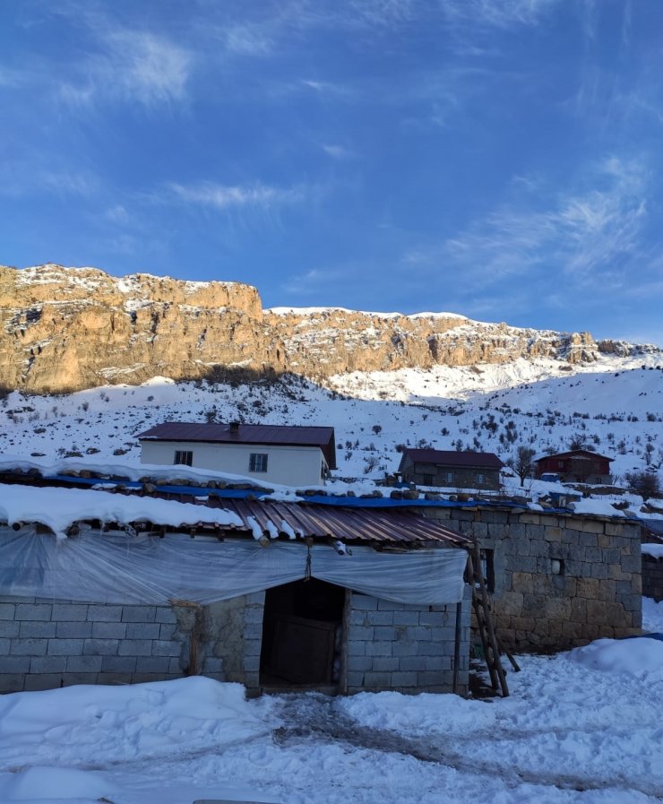 Şırnak'ta kayıp Süryani çifti arama çalışmaları sürüyor