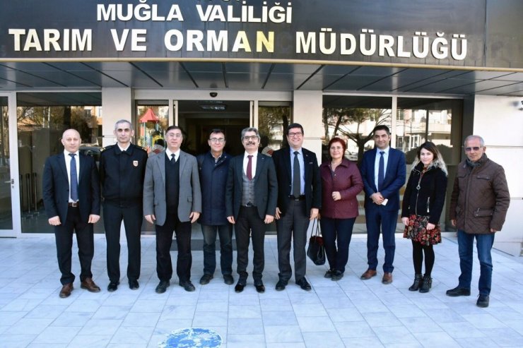 Muğla’da meralarda hayvan otlatma ücretleri düşürüldü