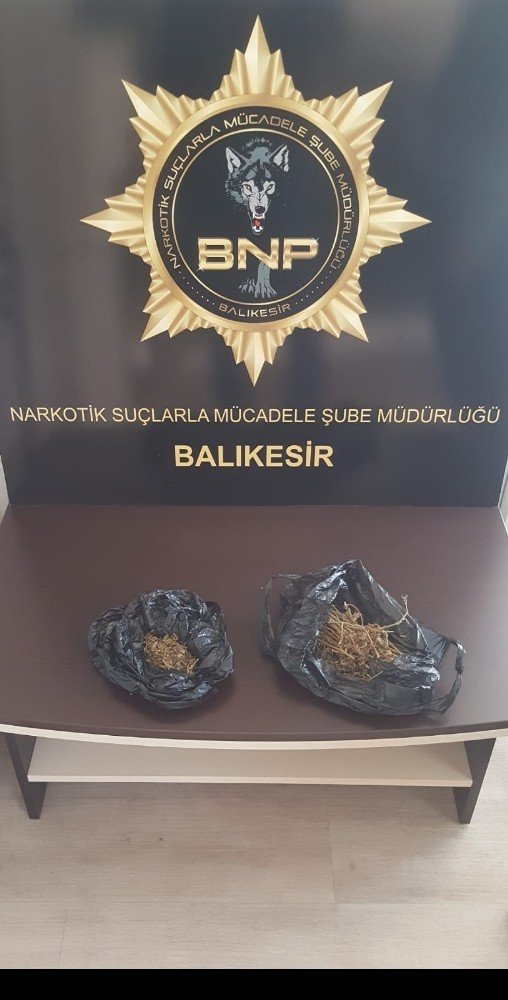 Uyuşturucu tacirleri tutuklandı