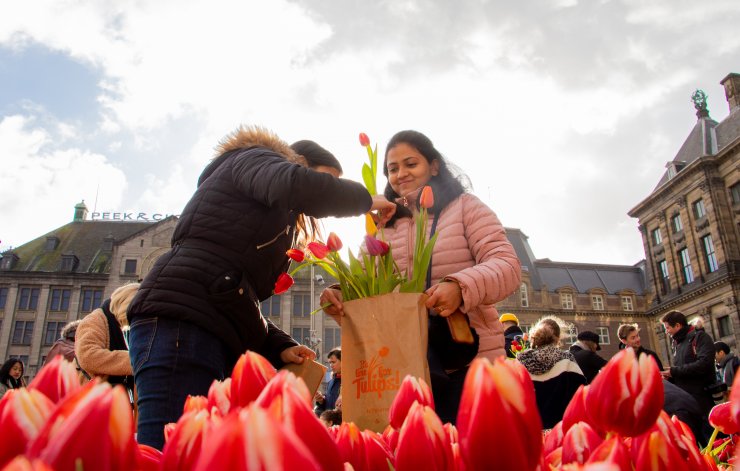 Hollanda'da "Ulusal Lale Günü" etkinliği