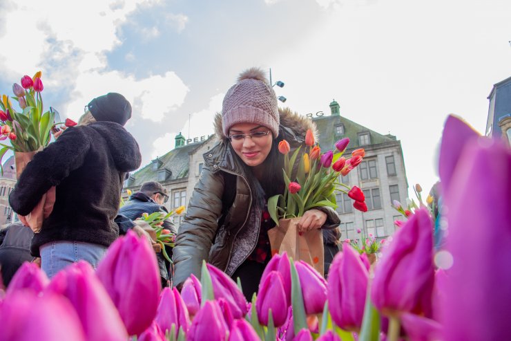 Hollanda'da "Ulusal Lale Günü" etkinliği