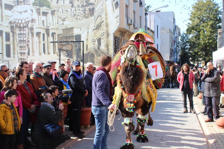 İzmir'de Efes Deve Güreşleri öncesi en süslü deve seçildi