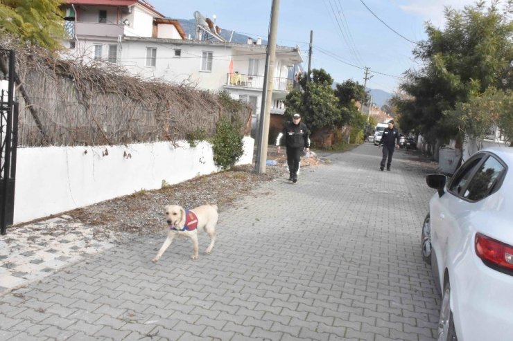 Köyceğiz’de kaybolan İngiliz aranıyor