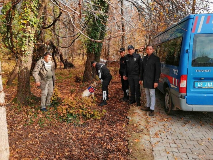 Köyceğiz’de kaybolan İngiliz aranıyor