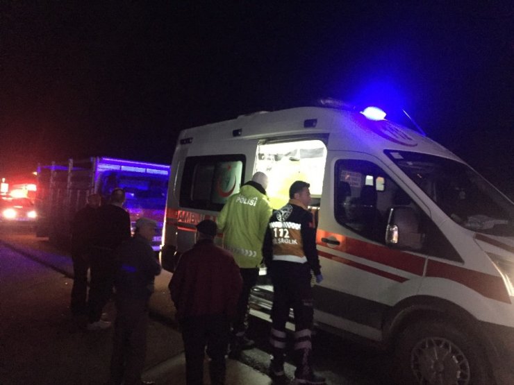 Kamyonetin çarptığı yaya yaralandı