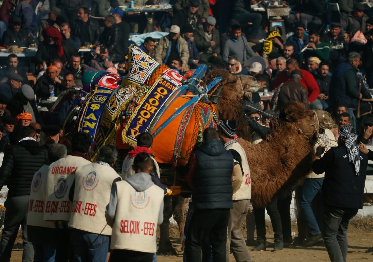 İzmir'de 38. Uluslararası Devecilik Festivali