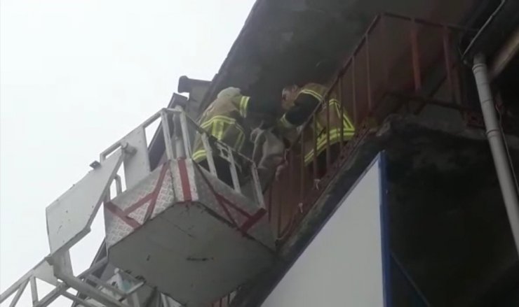 Balkonda mahsur kalan kediyi itfaiye kurtardı