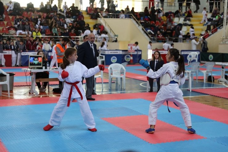 Şehit Emniyet Müdürü Okkan anısına Karate Turnuvası gerçekleştirildi