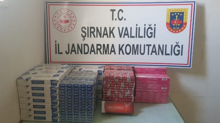 Kaçakçılık ve terörle mücadele operasyonunda 47 gözaltı