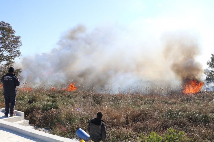 Antalya’da sazlık yangınında bazı evler tedbir amaçlı tahliye edildi