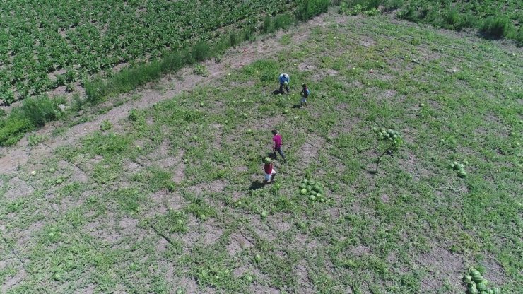 Karadeniz’in gıda ambarı Samsun
