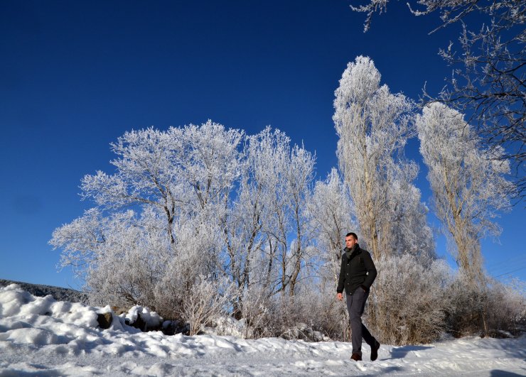 Doğu Anadolu'da soğuk hava etkili oluyor