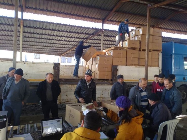 Selendi’de tütün alımları başladı