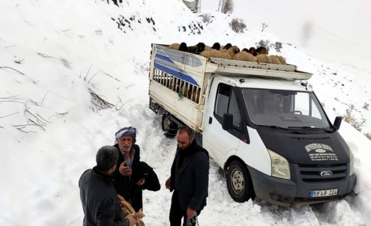 Siirt’te köy yolunda mahsur kalan koyun sürüsü kurtarıldı