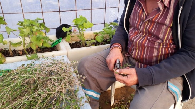 Çiçekten 1 milyon lira tasarruf