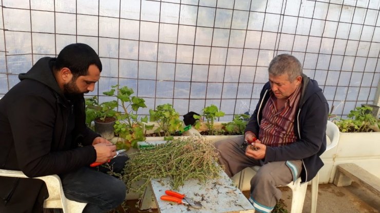 Çiçekten 1 milyon lira tasarruf