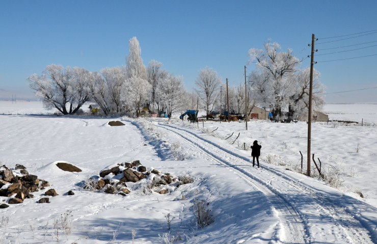 Doğu Anadolu'da soğuk hava etkisini sürdürüyor