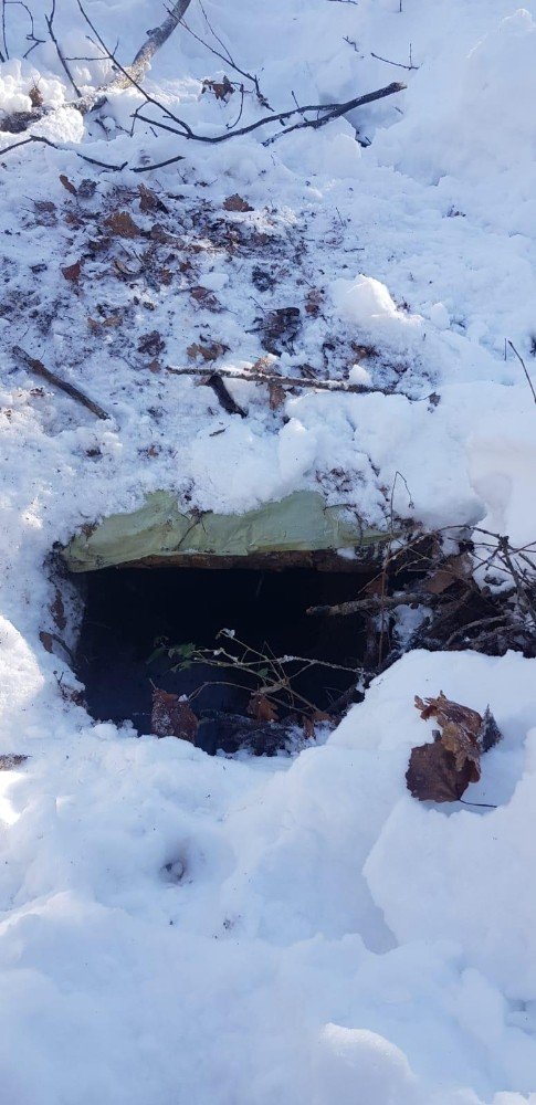Bitlis’te terör örgütünce kullanılan 7 sığınak ve 2 depo bulundu