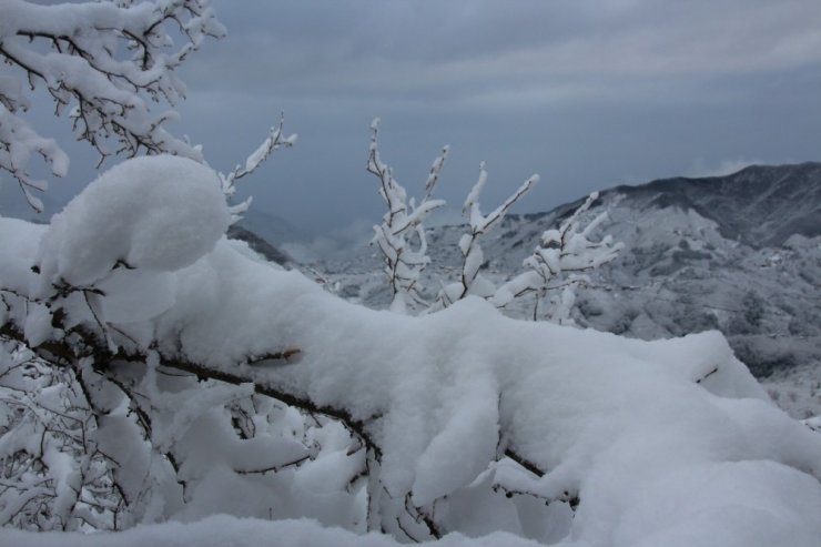 Kar fındık üreticisinin yüzünü güldürdü