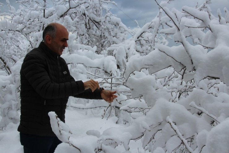 Kar fındık üreticisinin yüzünü güldürdü