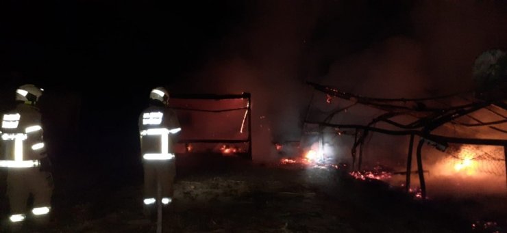 Ayvalık’ta bir büfede çıkan yangında küle döndü