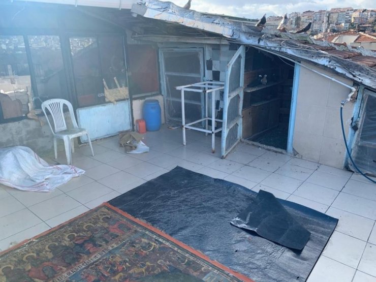Kilisede kazı yaparak tarihi tabloyu çalan şüpheliler yakalandı