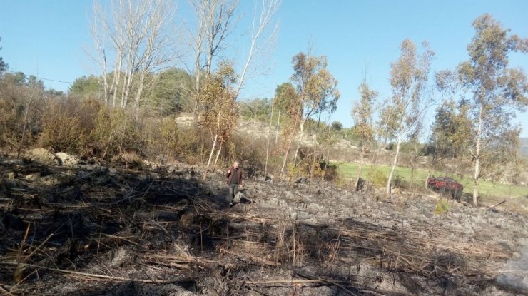 Seydikemer’de yanmak üzere olan kaplumbağayı itfaiye ekipleri kurtardı