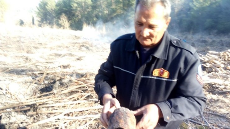 Seydikemer’de yanmak üzere olan kaplumbağayı itfaiye ekipleri kurtardı