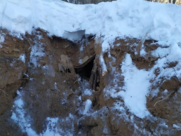 Bitlis’te terör örgütüne ait 5 sığınak bulundu
