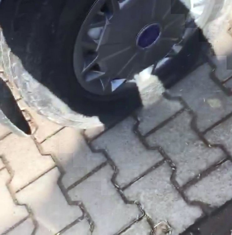 Deprem gecesi araçların lastiğini patlatmıştı, yakalandı
