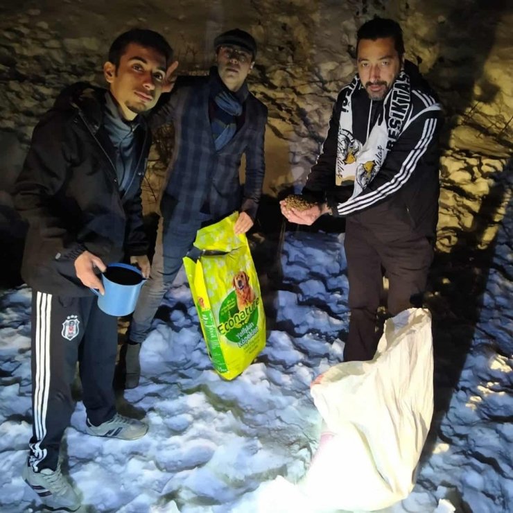 Beşiktaşlı taraftarlardan yaban hayatına yem desteği