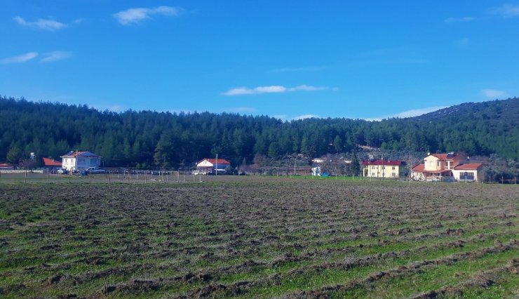 Büyükşehir ve Fethiye Belediyesinden Üreticiye ‘Üzüm bağı’ desteği