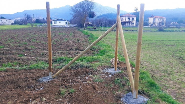 Büyükşehir ve Fethiye Belediyesinden Üreticiye ‘Üzüm bağı’ desteği