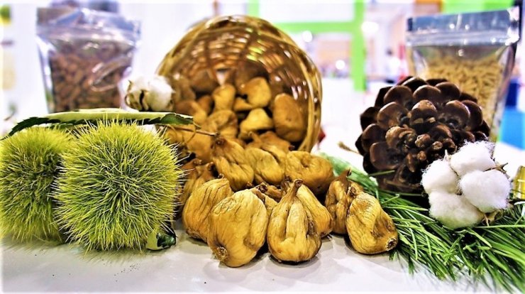 Aydın incir, kestane, yağlık zeytin ve kerevizde liderliğini korudu