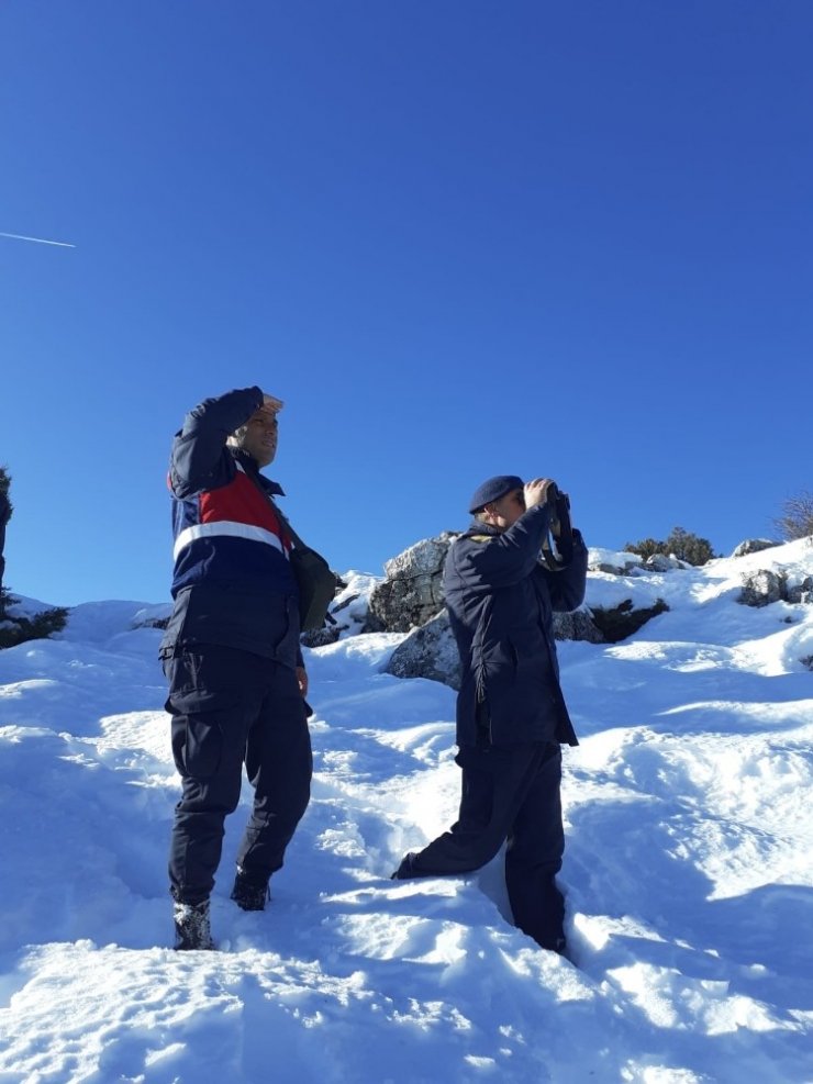 Çobanın kaybettiği sürüyü jandarma drone ile buldu
