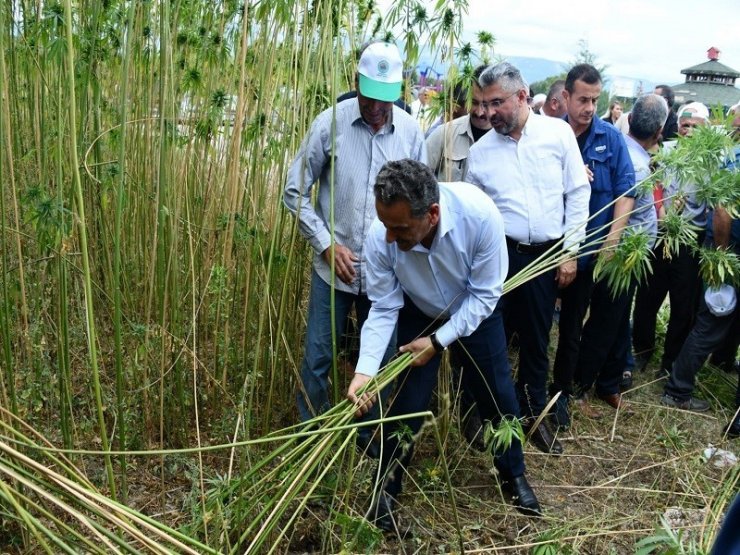Samsun çiftçisine 2019’da 303 milyon TL destek