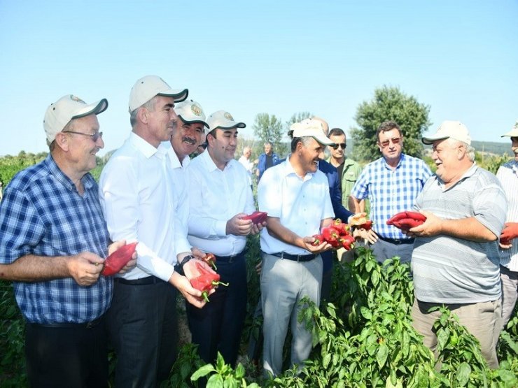 Samsun çiftçisine 2019’da 303 milyon TL destek