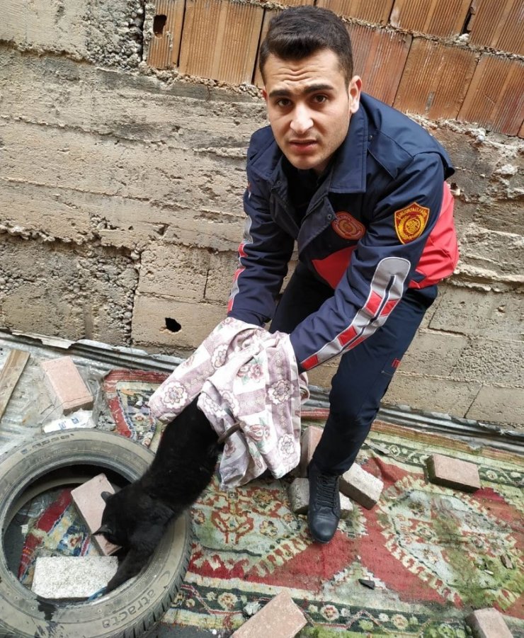 Şanlıurfa’da kedi kurtarma operasyonu